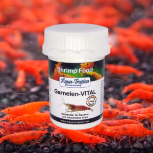 Garnelen VITAL – Aliment Quotidien Crevettes – AQUA-TROPICA