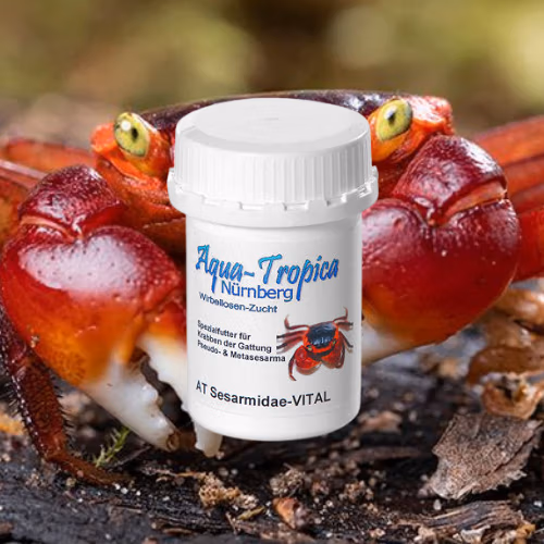 Crabe Sesarmidae VITAL - Aliment Quotidien - AQUA-TROPICA