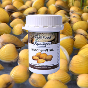 Moule VITAL – Alimentation Quotidienne – AQUA-TROPICA