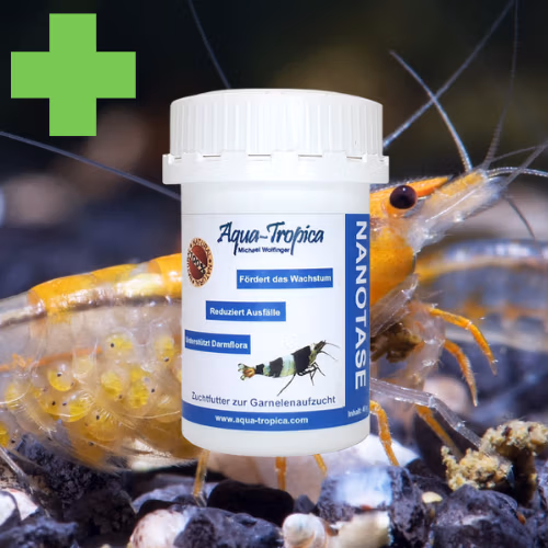 Nanotase - Boosteur Taux de Survie Juvéniles - AQUA TROPICA pour crevettes d'aquarium
