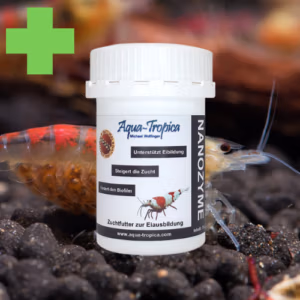 Nanozyme – Fécondité & Gestation – AQUA TROPICA