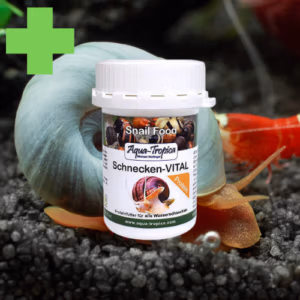 Escargot VITAL Protéines – Croissance Saine du Corps – AQUA-TROPICA