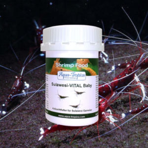 Sulawesi VITAL Baby – Nourriture pour Juvéniles – AQUA-TROPICA