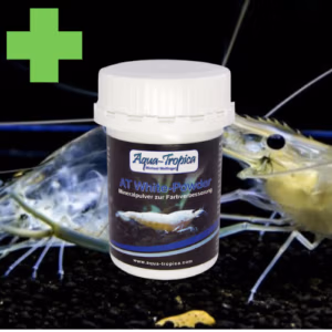 WHITE Powder – Renfort Mue Juvénile & Coloration – AQUA-TROPICA