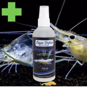 WHITE Liquide – Renfort Mue Tout Âge & Coloration – AQUA-TROPICA