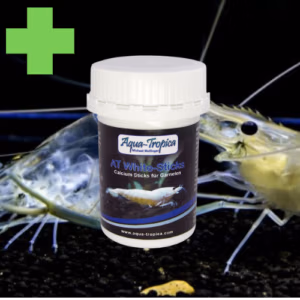 WHITE Sticks – Renfort Mue Adulte et Coloration – AQUA-TROPICA