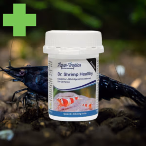 Dr. Shrimp ESSENTIAL – Santé Globale & Métabolisme Renforcé