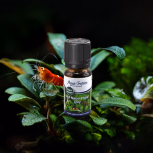Nano Plante DAY – Engrais Complémentaire – Compatible Crevettes – AQUA-TROPICA