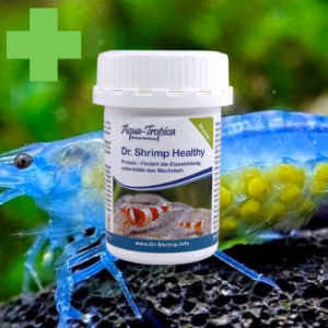 Dr. Shrimp PROTEINE – Formation Qualitative & Quantitative Œufs