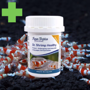 Dr. Shrimp PROTECT – Anti-Inflammatoire & Parasites Intestinaux