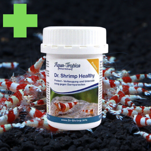 Dr. Shrimp PROTECT - Anti-Inflammatoire & Parasites Intestinaux - AQUA-TROPICA