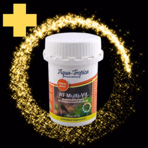 Multi VITAMINES Powder – Vitalité & Métabolisme Jeunes Crevettes – AQUA-TROPICA