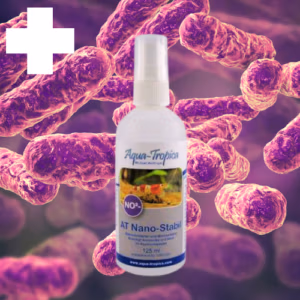 Nano Stabil Nitrite NO2 STARTER – Bactéries Nitrifiantes Essentielles – AQUA-TROPICA