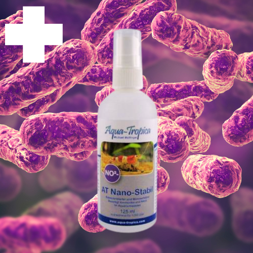 Nano Stabil NO2 STARTER - Bactéries Nitrifiantes Essentielles - AQUA-TROPICA aquarium Le Crevettilus