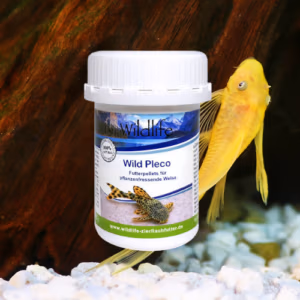 Pleco Nourriture Quotidienne – Haut de Gamme – WILDLIFE