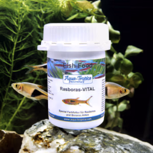 Rasbora VITAL – Nourriture Quotidienne – AQUA-TROPICA