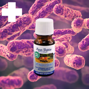 Nano Stabil Nitrite NO2 STARTER – Bactéries Nitrifiantes Essentielles – 10 mL – AQUA-TROPICA