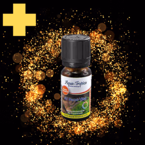 Multi VITAMINES Liquide – Vitalité & Métabolisme Tout Age Crevettes – 10 mL