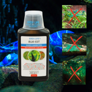Blue Exit – Anti-Algue Bleu Cyanobactérie Pour Crevettes – 250 ml – EASY LIFE