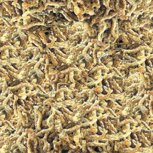 Artémia – Nourriture Lyophilisé pour Poissons – WILDLIFE