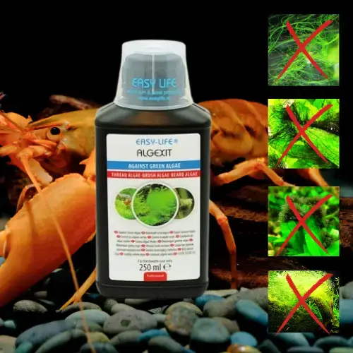 Algexit - Anti-Algue Verte Pour Crevettes - 250 ml - EASY LIFE Le Crevettilus