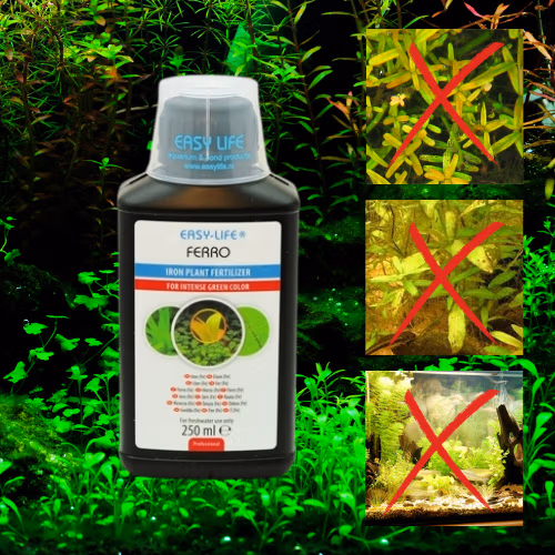 Ferro - Engrais Anti Feuilles Jaunes - Compatible Crevettes - EASY LIFE 250 mL