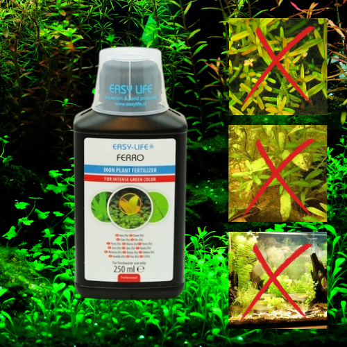 Ferro - Engrais Anti Feuilles Jaunes - Compatible Crevettes - EASY LIFE 250 mL
