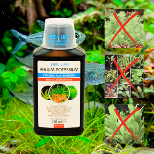 Kalium Potassium - Anti Blanchissement des Feuilles & Faible Croissance - EASY LIFE