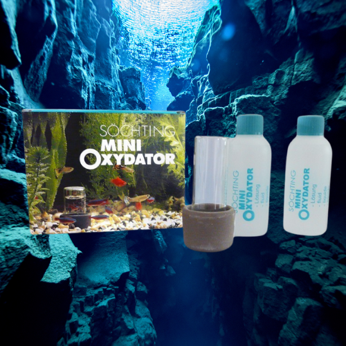 Oxydator Mini - Oxygénation de l'Eau jusqu'à 60 L - SÖCHTING