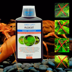 Algexit – Anti-Algue Verte Pour Crevettes – 500 ml – EASY LIFE