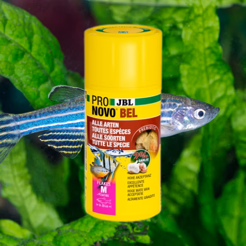 Pronovo BEL Flakes M - Métabolisme Renforcé des Poissons - 100 ml - JBL