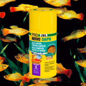 Pronovo Daph – Daphnies Lyophilisées – Pour Poissons – JBL