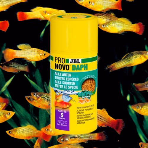 Pronovo Daph - Daphnies Lyophilisées - Nourriture Poissons - JBL