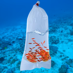 100 Sacs Transport – Crevettes & Poissons – 20 cm x 50 cm