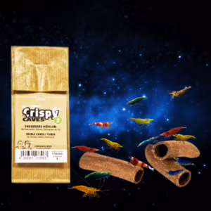 Crispy Caves – Cachettes Comestibles – S – GLASGARTEN