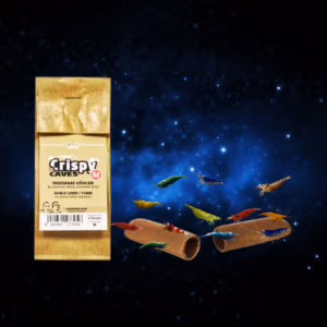 Crispy Caves – Cachettes Comestibles – M – GLASGARTEN