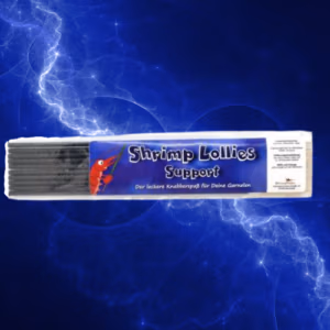 Shrimp Lollies SUPPORT – Mue & Coquille – SHRIMPTASTIC