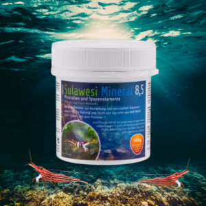 Sulawesi Mineral – Crevette Arlequin & Striata – pH 8,5 – SALTYSHRIMP