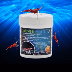 Sulawesi Mineral – Crevette Dennerli – pH 7,5 – SALTYSHRIMP