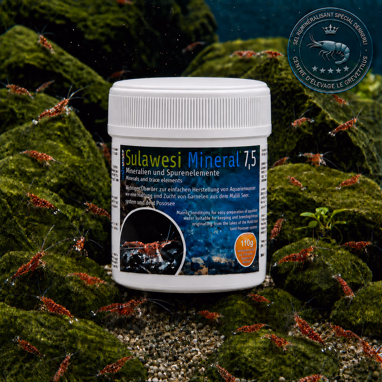 Sulawesi Mineral Dennerli SaltyShrimp 110 g dans un aquarium rocheux avec crevettes Cardinales – Le Crevettilus