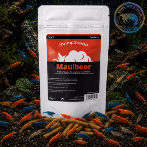 Shrimp Snacks Murrier Maulbeer pour Crevettes – GlasGarten