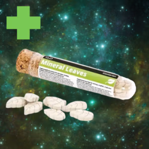 Mineral Leaves x8 – Mue & Alimentation Vacances – GLASGARTEN