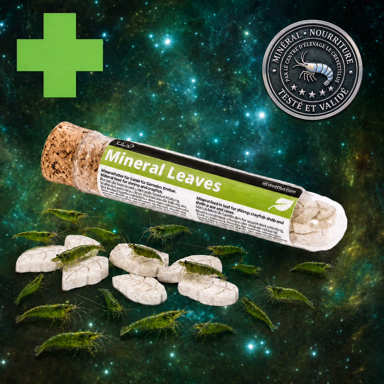 Mineral Leaves GlasGarten x8 avec crevettes vertes – Le Crevettilus