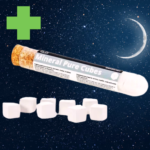 Mineral Pure Cubes - Renfort Mue Crevette - GLASGARTEN Le Crevettilus