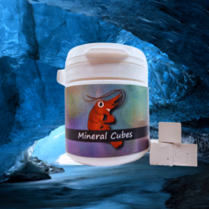 Minéral Cubes – BOOST Mue & Coquille – SHRIMPTASTIC