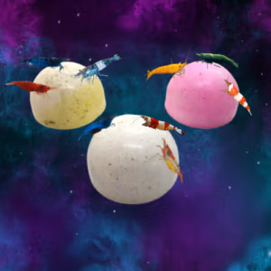 Minéral Drops MIX – Mue & Multi-Bienfaits – SHRIMPTASTIC