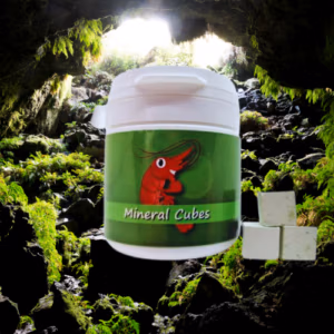 Minéral Cubes Spiruline – Mue & Coloration – SHRIMPTASTIC