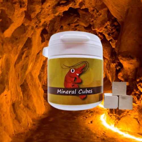Minéral Cubes HUMIN - Mue & Anti-Stress - SHRIMPTASTIC Le Crevettilus