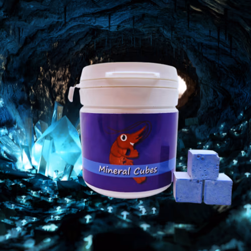 Minéral Cubes BLUE DREAM - Mue & Color - SHRIMPTASTIC
