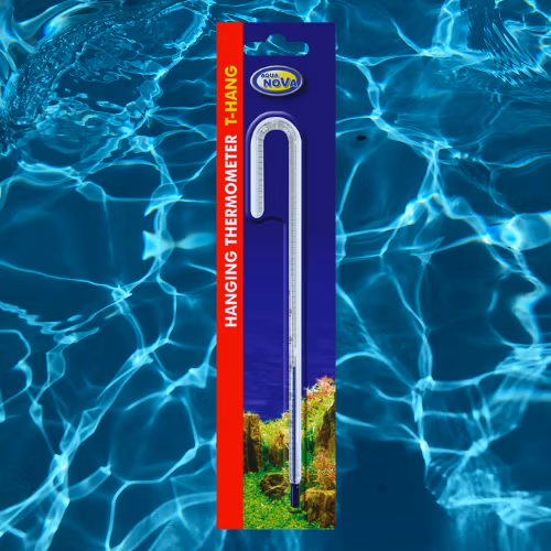 Thermomètre Suspendu - Taille S - AQUA NOVA Le Crevettilus